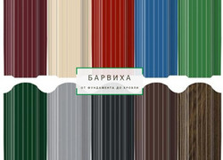 standart-czeta